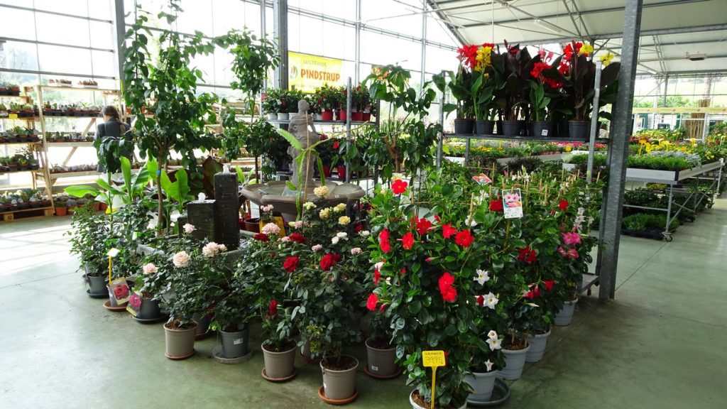 Centro de Jardinería en Cantabria | Altamira Garden