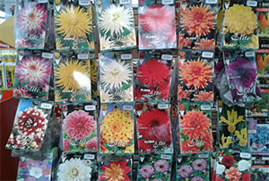 Venta Semillas para Jardín | Centro de Jardinería Altamira Garden 