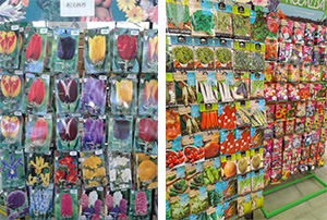 Venta de Semillas de Plantas en Cantabria